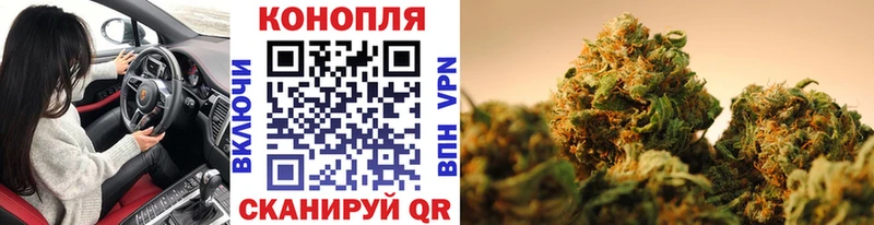 Шишки марихуана семена  Кола 