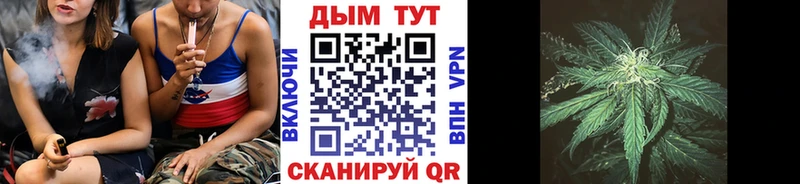 Бошки марихуана план Кола